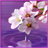 Water Drop. Flowers and Leaves. icon