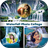 Waterfall Photo Collage icon