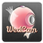 WedCam icon
