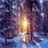 WinterTreesWallpaper icon