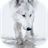 Wolfs live wallpaper icon