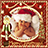 Xmas Picture Frames icon
