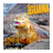 Iguana Lover Indonesia icon