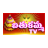 Bathukamma TV version 2.0