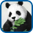 Beautiful Panda Pics icon