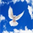  Birds Live Wallpaper icon