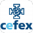 CEFEX SANTA CRUZ version 1.0