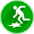 Sturzpass icon