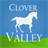 CloverValley icon