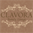 CLAVORA BEAUTY LOUNGE icon
