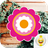 Cute Colorful Flower Stickers icon
