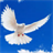  Dove Live Wallpaper icon