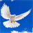  Dove Live Wallpaper APK Download