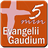 Evangelii Gaudium 5 min icon