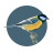 Fågelappen Online icon
