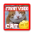 Funny Cat Video icon