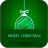 Green Christmas Photo Frames icon
