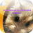 hamster keybord Themes icon