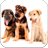 Images Puppies icon