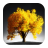 Lone Tree Wallpapers APK Download