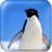Lovely Penguins icon