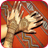 Mehandi icon