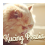 Kucing Persia APK Download