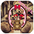 PIP Camera - Romantic Frames icon