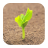 Plant Wallpapers icon