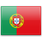 Portuguese Translator icon