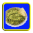 Avocado Recipes icon