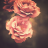 Descargar Roses Valentine wallpaper 2014