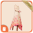 Spring Collection Photo Suit APK Download