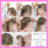 Easy Little Girl Hairstyles icon