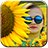 Sun Flower Photo Frames icon