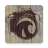 Surf Report icon