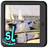 SL: Paintings icon