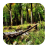Thick Forest Backgrounds APK Download
