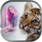 TigerPhotoFrames icon