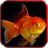 Fishes 3D Live Wallpaper icon