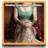 Wedding Saree Blouse Collection icon