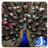 3D Peacocks Live Wallpaper icon
