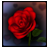 3D Rose Bouquet Live Wallpaper Free icon