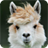 Alpacas WallPaper icon