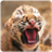 Animal WallPaper HD icon