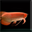 Arowana Fish LiveWallpaper icon