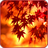 Autumn Leaves HD Wallpaper icon