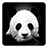 Baby Panda Live Wallpaper icon