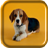 Beagle Puppy Live Wallpaper icon