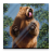 Bear Licks icon